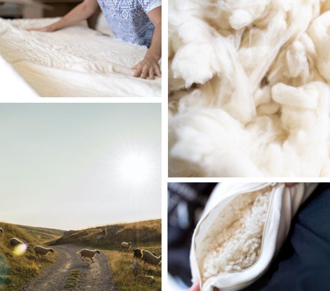 Traditionelle Schafhaltung - Schwäbische Alb bis Wales oder Irland